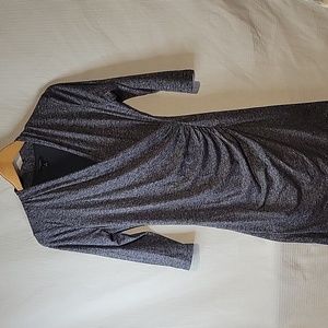 Ann Taylor Petite Dress